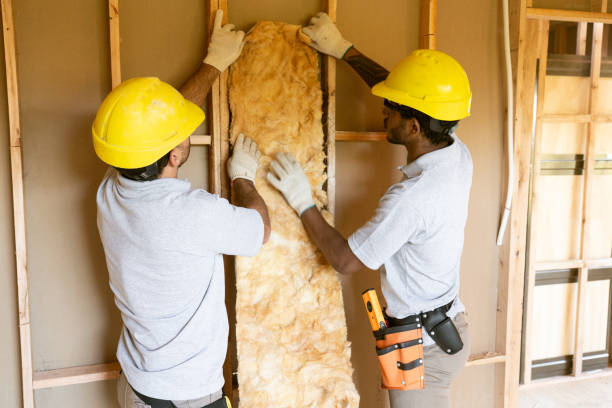 Best Insulation for New Construction  in American Falls, ID