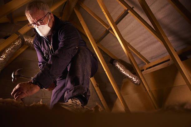 Best Attic Insulation Installation  in American Falls, ID